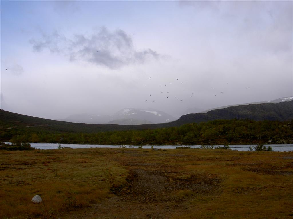 1011x754 pixels (69K)